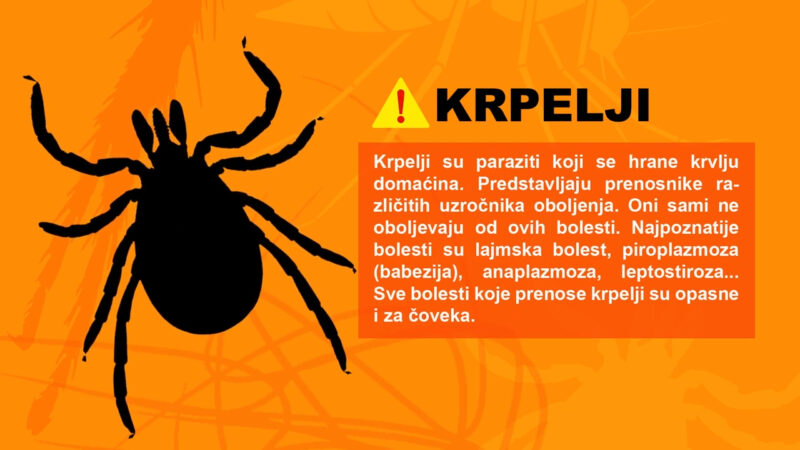 Krpelji